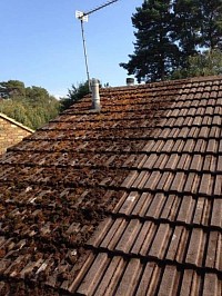 Roof cleaning